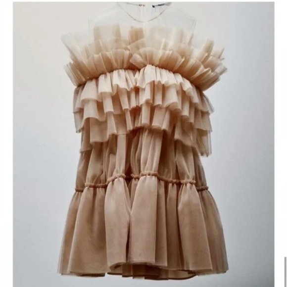 ZARA Tulle Dress Limited Edition Beige Pink Size L - Picture 1 of 13